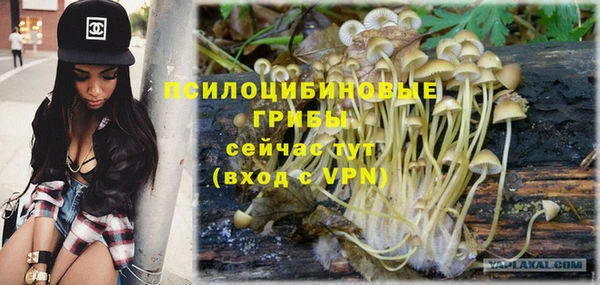 дмт Володарск
