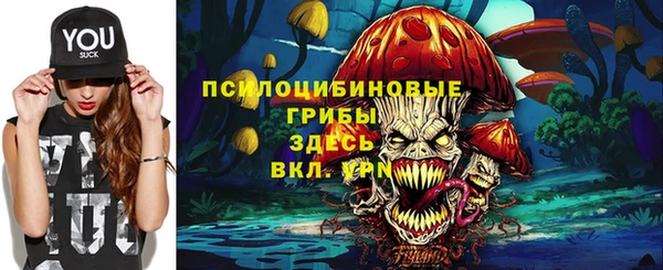 дмт Володарск