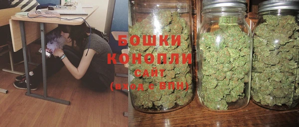 мдпв Волоколамск