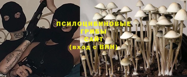 дмт Володарск