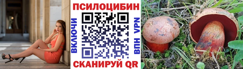 Купить закладки  Наволоки  Псилоцибиновые грибы MAGIC MUSHROOMS 